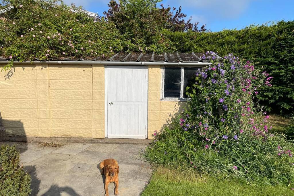 3 Bed Bungalow In Winchcombe, Cotswolds,Gloucester מראה חיצוני תמונה